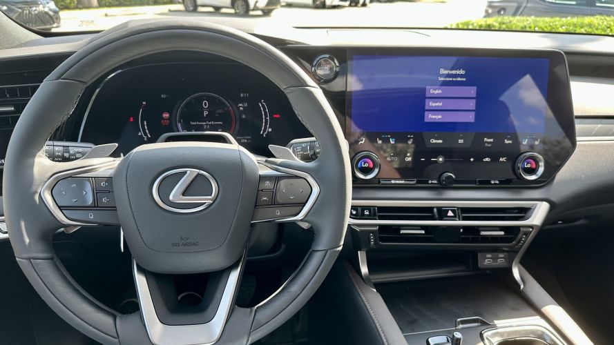 2023 Lexus RX Luxury - Green - interior panel